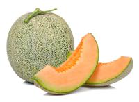 CANTALOUPE