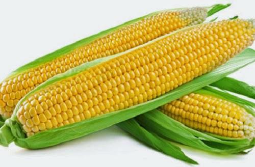 SWEET CORN