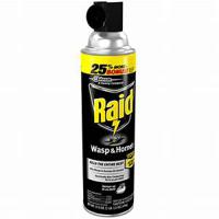 RaidÂ Wasp and Hornet Insecticide 17.5 oz